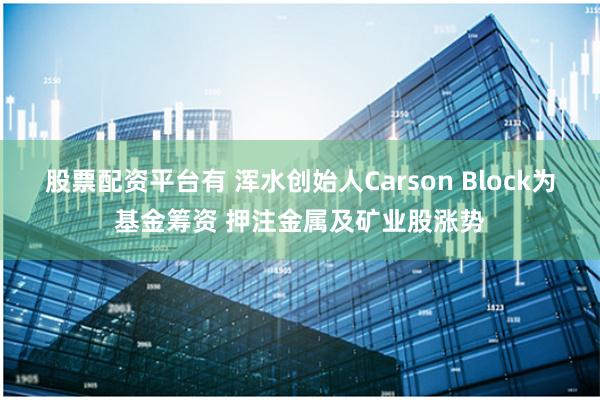 股票配资平台有 浑水创始人Carson Block为基金筹资 押注金属及矿业股涨势