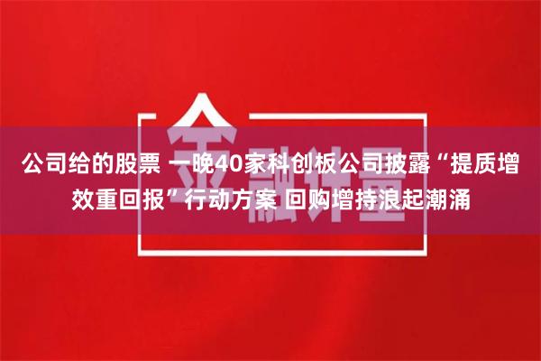 公司给的股票 一晚40家科创板公司披露“提质增效重回报”行动方案 回购增持浪起潮涌