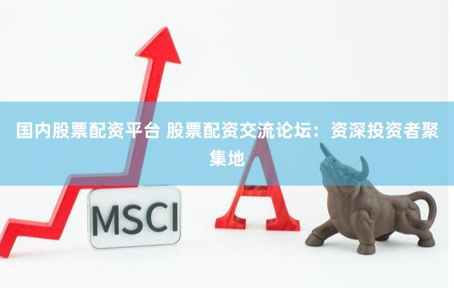 国内股票配资平台 股票配资交流论坛:资深投资者聚集地